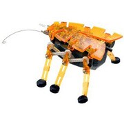 HEX BUG（ヘクスバグ） ORANGE
