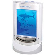PRIVATE OCEAN （プライベートオーシャン）