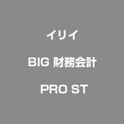 BIG財務会計Pro スタンドアロン版 [Windows]