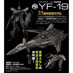 マクロスプラス 1/60 完全変形版 YF-19