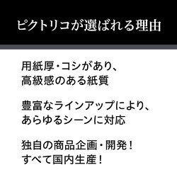 ピクトリコプロ・ホワイトフィルムプラス ハガキサイズ(20枚入り
