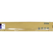プロフェッショナルフォトペーパー 厚手微光沢 約914mm×30.5m S042151 PXMC36R14