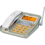 電話機(子機なし) シャンパンゴールド TF-FV7000-N