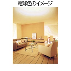 ヨドバシ.com - パナソニック Panasonic 二重環形蛍光灯
