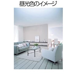 ヨドバシ.com - NEC ホタルクス HotaluX 丸形スリム管蛍光灯