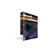 BRUSH ARTISTRY / DVD-ROM [サンプリング素材]