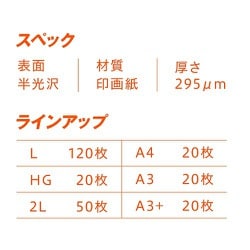 高品質正規品 ピクトリコ 特殊用紙 PPF150-A3/20 ケーズデンキ PayPay