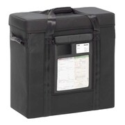 RoadShow RS-D20