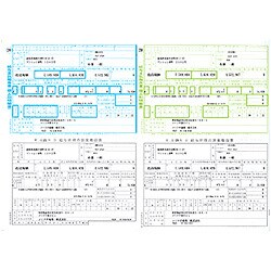 SR220 ［源泉徴収票（明細型） 平成19年度版 100枚 A4横］