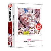 写真素材-桜編- [Windows/Mac]