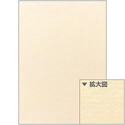 プリンター用紙 クラッポストライプ バニラ A4 10枚 CP02S