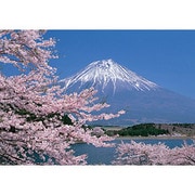 ジグソー RS-13-273 桜咲く富士山 1000ピース [ジグソーパズル]