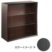 CD-QUBE/BK [QUBE(キューブ） CDラック ブラック]