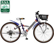 子ども用自転車 エコチャンピオンエース CIデッキ 24型 外装6段変速 ブルー＆シルバー EA246 1A822A