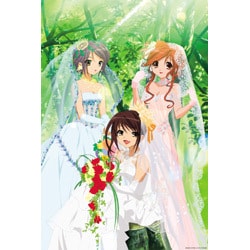 Amazon.co.jp: 涼宮ハルヒの憂鬱 ウェディングドレス 1000p