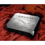 マグネティック・スタビライザー STONE マグネティック・スタビライザー
