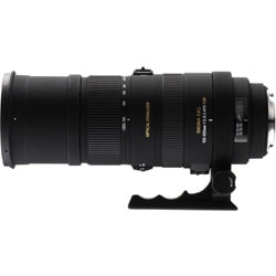 Amazon | シグマ(Sigma) SIGMA 超望遠ズームレンズ APO 150