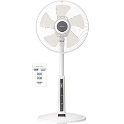 扇風機 リモコン付 ブラックメタリック R30-RJ-K