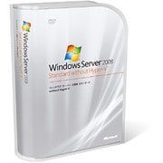 Windows Server 2008 Standard without Hyper-V 32bit/64bit （10CAL付）