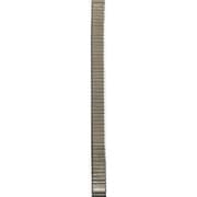 MES72 L-37 [銀 伸縮タイプ 10mm レディース]