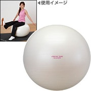 EXG025 [フィットネス器具 エクササイズボール（65cm）]