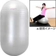 EXG026 [フィットネス器具 エクササイズカプセルボール]