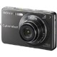 DSC-W300