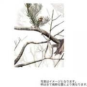 LCNEXIISN [リアルツリーハードウッドスノー]