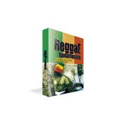 REGGAE FUNDAMENTALS [ソフトウェア ループ･フレーズ音源]