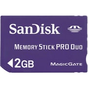 メモリースティックPRO Duo(デュオ) 2GB SDMSPD-2048-J95