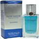 シルバーシャドアルティテュード（30ml）[スプレータイプ]