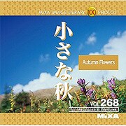 MIXA IMAGE LIBRARY Vol.268 小さな秋 [Windows/Mac]