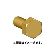 ANE0009 六角ボルトヘッドM 真鍮製 45個 [ボルトヘッドシリーズ]
