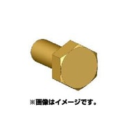 ANE0010 六角ボルトヘッドL 真鍮製 45個 [ボルトヘッドシリーズ]