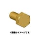 ANE0011 六角ボルトヘッドSS 真鍮製 45個 [ボルトヘッドシリーズ]