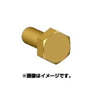 ANE0011 六角ボルトヘッドSS 真鍮製 45個 [ボルトヘッドシリーズ]