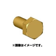 ANE0012 六角ボルトヘッドSSS 真鍮製 45個 [ボルトヘッドシリーズ]