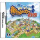 街ingメーカーDS [DSソフト]