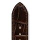 ZRC5190703 20mm Brown [時計バンド]