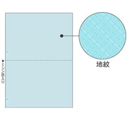 帳票 B5 2面 地紋 100枚 BP2089