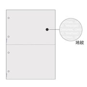マルチプリンタ帳票 コピー偽造予防用紙 浮き文字タイプ A4 2面 4穴 100枚 BP2102