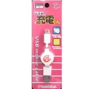 USBケーブルホワイト [DSLite用]