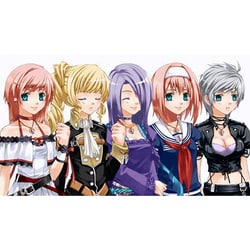 ヨドバシ Com アークシステムワークス Arc System Works 蘭島物語 レアランドストーリー 少女の約定 Pspソフト 通販 全品無料配達