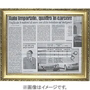 イーリスフレーム 金 A4 IGA4