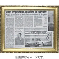 イーリスフレーム 金 A3 IGA3