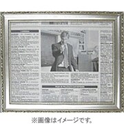イーリスミニミニ縁 本銀 FU-274