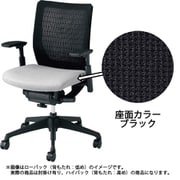 ヴィスコンテ ハイバック可動肘 ブラック CWH5ZA FBA1