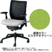 ヴィスコンテ ハイバック可動肘 ピスタチオグリーン CWH5ZA FEA6
