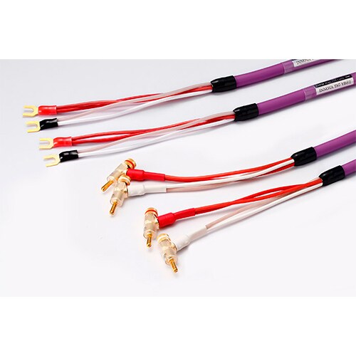 スピーカーケーブル 4m Y端子(AMP)+バナナ端子(SP) INNOVA TS7 YBS4