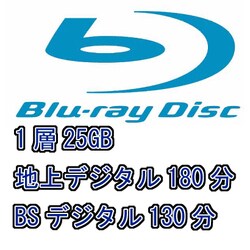 SONY ビデオ用BD-R 追記型 片面1層25GB 6倍速 プリンタブル 10枚P 10BNR1VBPS6 SONY 10BNR1VJPS6 録画用25GB 1層 1-6倍速対応 BD-R追記型